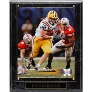  LSU Tigers #18 Jacob Hester 10.5 x 13 Player Plaque 