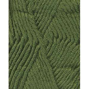    Berroco Comfort Chunky Yarn 5761 Lovage: Arts, Crafts & Sewing