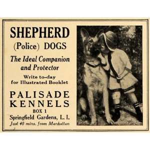  1925 Ad Shepherd Police Dogs Palisade Kennels Companion 