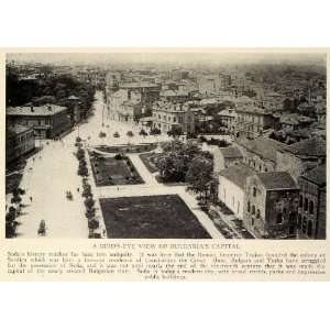  1927 Print Sofia Global City Serdica Bulgaria Capital Bird 