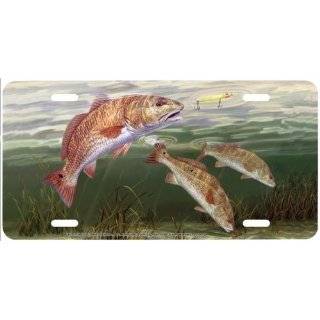 : Redfish and Crab Saltwater Marine Fishing Art Front Novelty License 