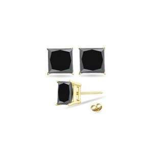   Princess AAA Black Diamond Stud Earrings in 18K Yellow Gold: Jewelry