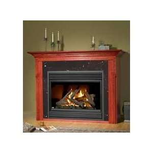   Napoleon BGD48N 48 Direct Vent Gas Fireplace   7296: Home & Kitchen