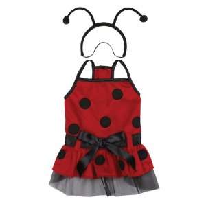   Canine Plush Lady Bug Dog Costume, X Small, 8 Inch: Pet Supplies