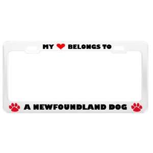  A Newfoundland Dog Pet White Metal License Plate Frame Tag 
