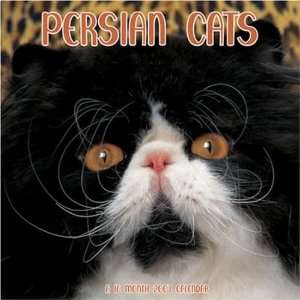  Persian Cats 2007 Wall Calendar (9781592846658): Magnum 