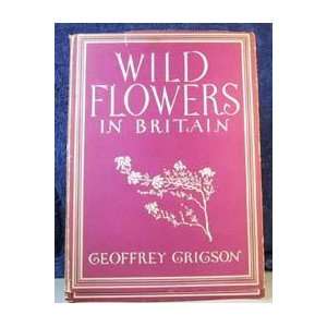  Wild flowers in Britain (Britain in pictures): Geoffrey 