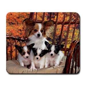  Cute dog and puppies Large Mousepad mouse pad Great Gift 