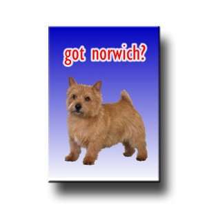  Norwich Terrier Got? Fridge Magnet No 1 