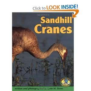  Sandhill Cranes (Early Bird Nature) (9780822530275) Lynn 