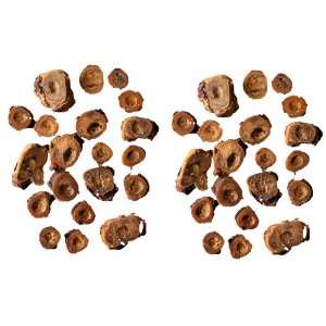  40 Hickory Smoked Puppy Chews Dog Bones