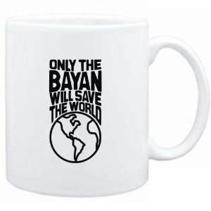   Only the Bayan will save the world  Instruments