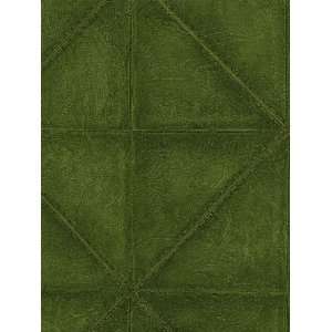   COLOUR BY DESIGN GREEN Wallpaper  BC1581576 Wallpaper