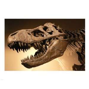 Palais de la Decouverte Tyrannosaurus Rex (20 x 16) Poster 