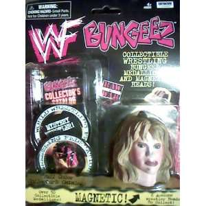   1999 WWF World Wrestling Federation Bungeez, the Game: Toys & Games