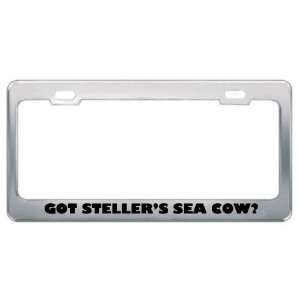 Got StellerS Sea Cow? Animals Pets Metal License Plate Frame Holder 