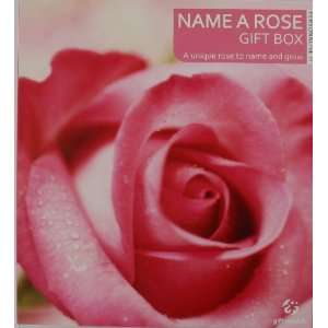  Name A Rose Gift Box   A Best Present   The Ultimate 