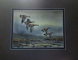 David Hagerbaumer Signed Original watercolor Painting Waterfowl CANADA 