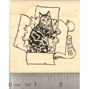  Christmas Kitty in Gift box Rubber Stamp Arts, Crafts 