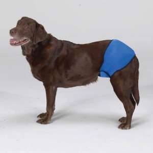   Health Hot & Cold Therapy Wrap Large 25 to 100 pounds: Pet Supplies