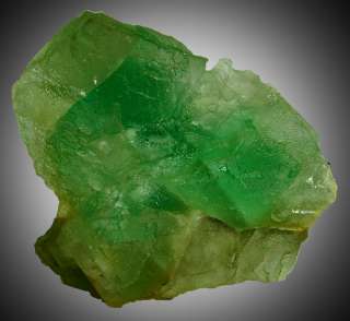 Octahedral GREEN FLUORITE Crystals WilliamWise M NH  