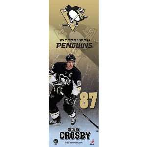   Pittsburgh Penguins Sidney Crosby 10X30 Plaque: Sports & Outdoors