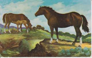 QUARTER HORSE POSTCARD VERN PARKER ART 1957  