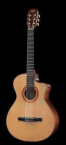 TAYLOR USA Jason Mraz Signature Series Acoustic Electric Guitar w/OHSC 