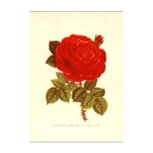  Roses Poster Print