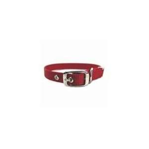 Single Thick Nylon Dog Collar Red 16 In: Pet Supplies