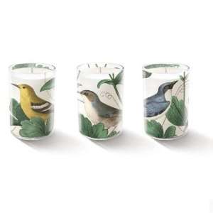  Fringe Studio Morning Birds Votive Candle Gift Set: Home 