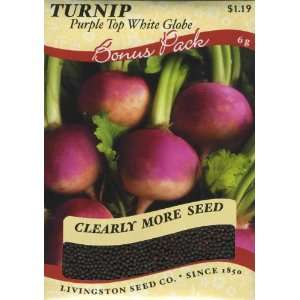  Turnip   Purple Top White Globe Patio, Lawn & Garden