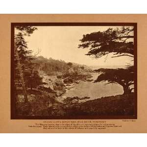   Monterey Seventeen Mile Cliffs   Original Sepia Print