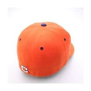  Clemson Tigers Team Logo Fitted Hat (Orange) Sports 