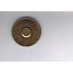  Anonymous AA 2 Year Chip Token Medal Medallion 