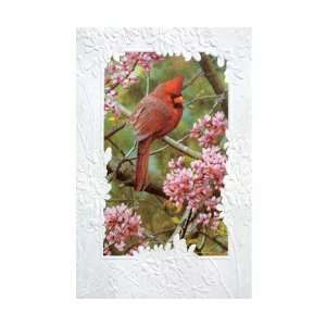  of Ruby Bday   Everyday Greeting Cards. Pack of 6 