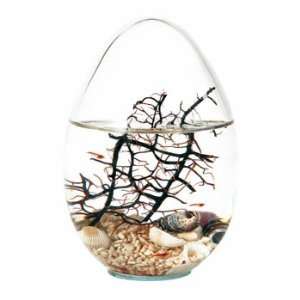 Beachworld Mini Aquarium Oval mit Gorgonie 13 cm   Ökosystem 