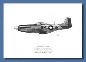 WWII Aviation Art P 51D Mustang, 355th FG  