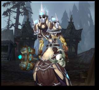World of Warcraft WoW Account Priester 85 T13 der Königsmörder 
