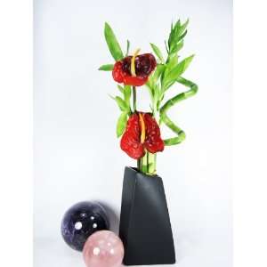   20 Lucky Bamboo Plant Arrangement w/ Ceramic Black Vase & Silk Flower