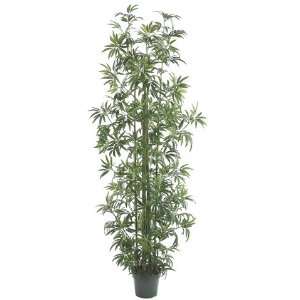   of 2 Decorative Leafy Bamboo Trees with Round Pots 8