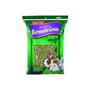  6 PACK BERMUDA GRASS, Size 16 OUNCE (Catalog Category 