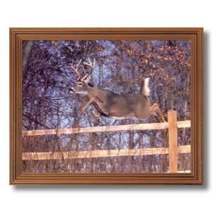 Framed Oak Whitetail Buck Deer Big Rack Jumping Fence Animal Wildlife 
