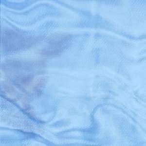  Whish Myst Blue   Shower Curtain