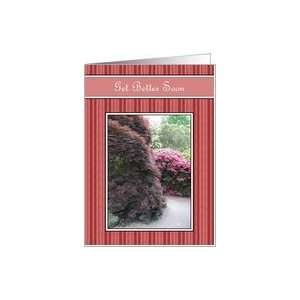  Get Well   Bushes & Footpath, Red Striped Frame Card 