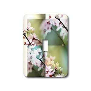  Sanders Flowers   Spring Cherry Blossom Abstract  Pink Flowers 