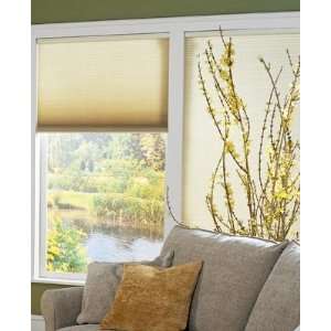   Cell (Facets) w/Cordless   Cordless Cellular Shades