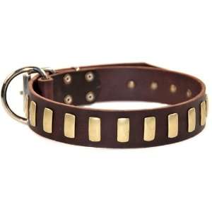  Dean & Tyler Plates Dog Collar Plated Perfection   High 