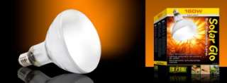 Exo Terra Reptile Solar Glo Mercury Vapor Lamp 125W  