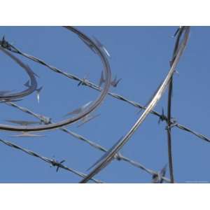  Close up of Coiled Razor Wire and Barbed Wire on a Fence 